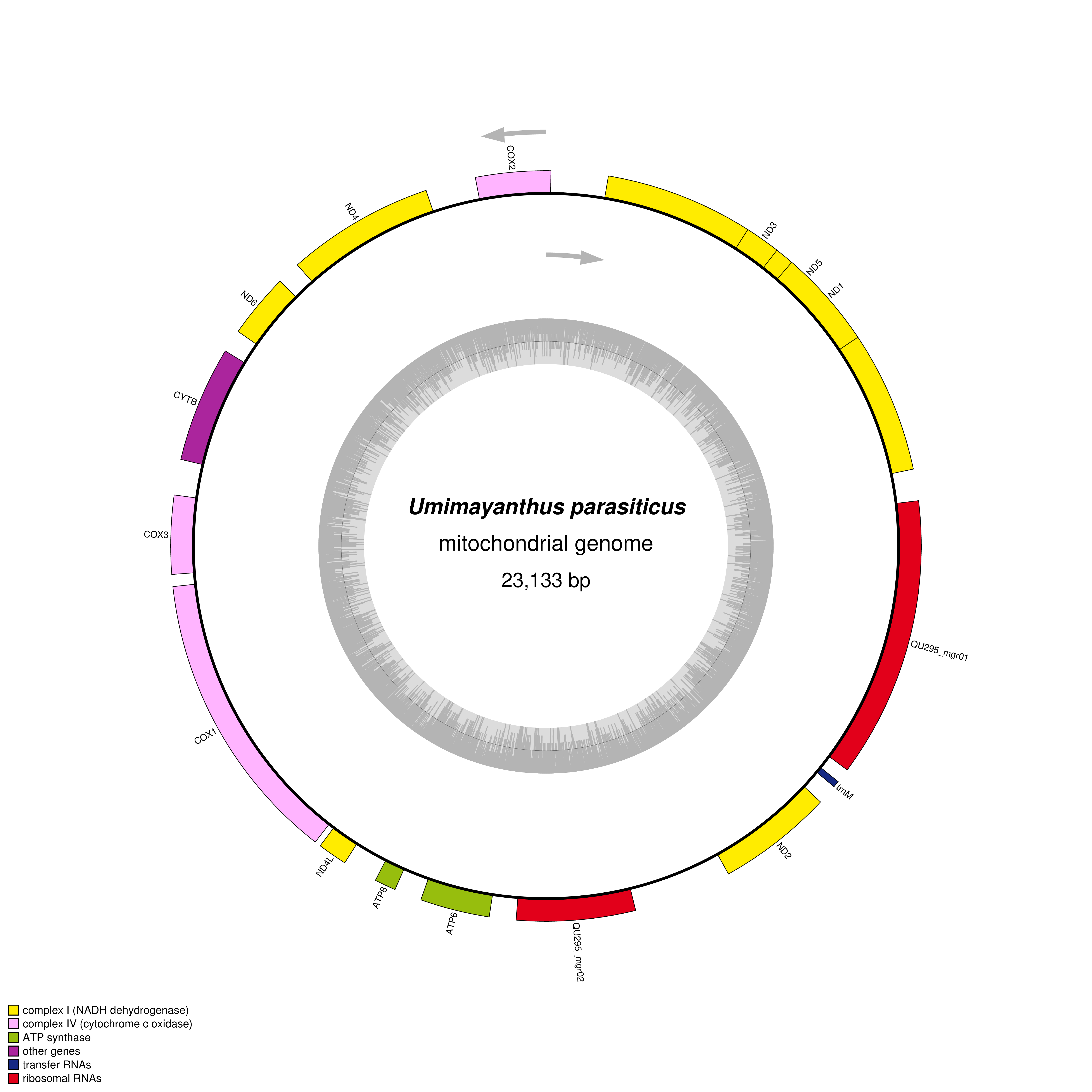 Mitochondrial genome map of Umimayanthus parasiticus
