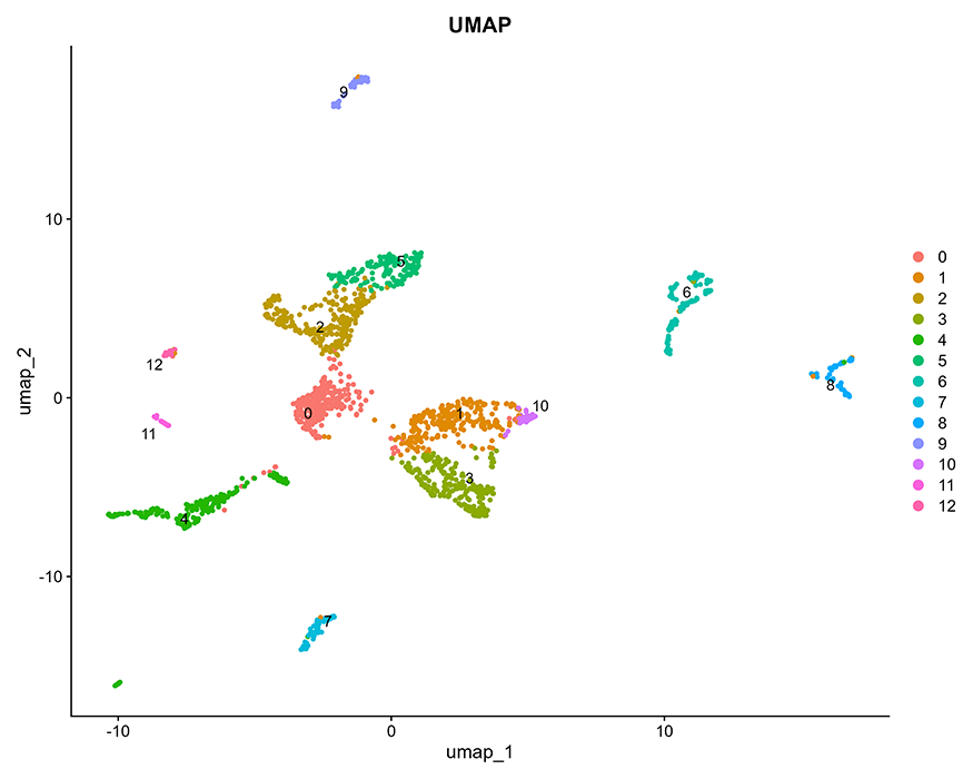 UMAP of Nematostella vectensis (2monthAnimal) coloured by cluster