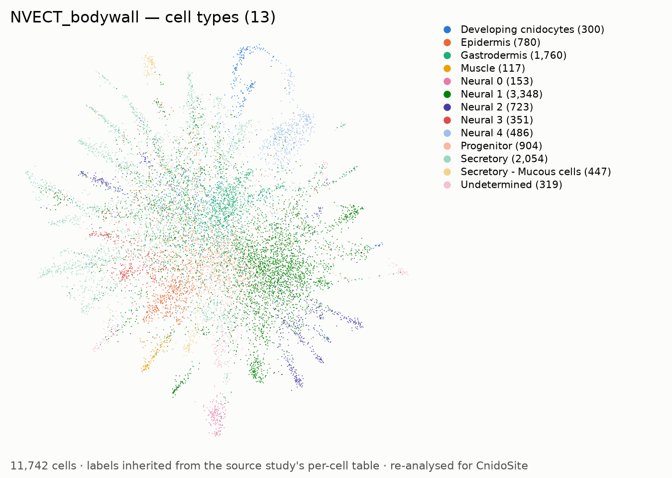 UMAP of the re-analysed NVECT_bodywall, coloured by annotated cell type, with a legend naming each type