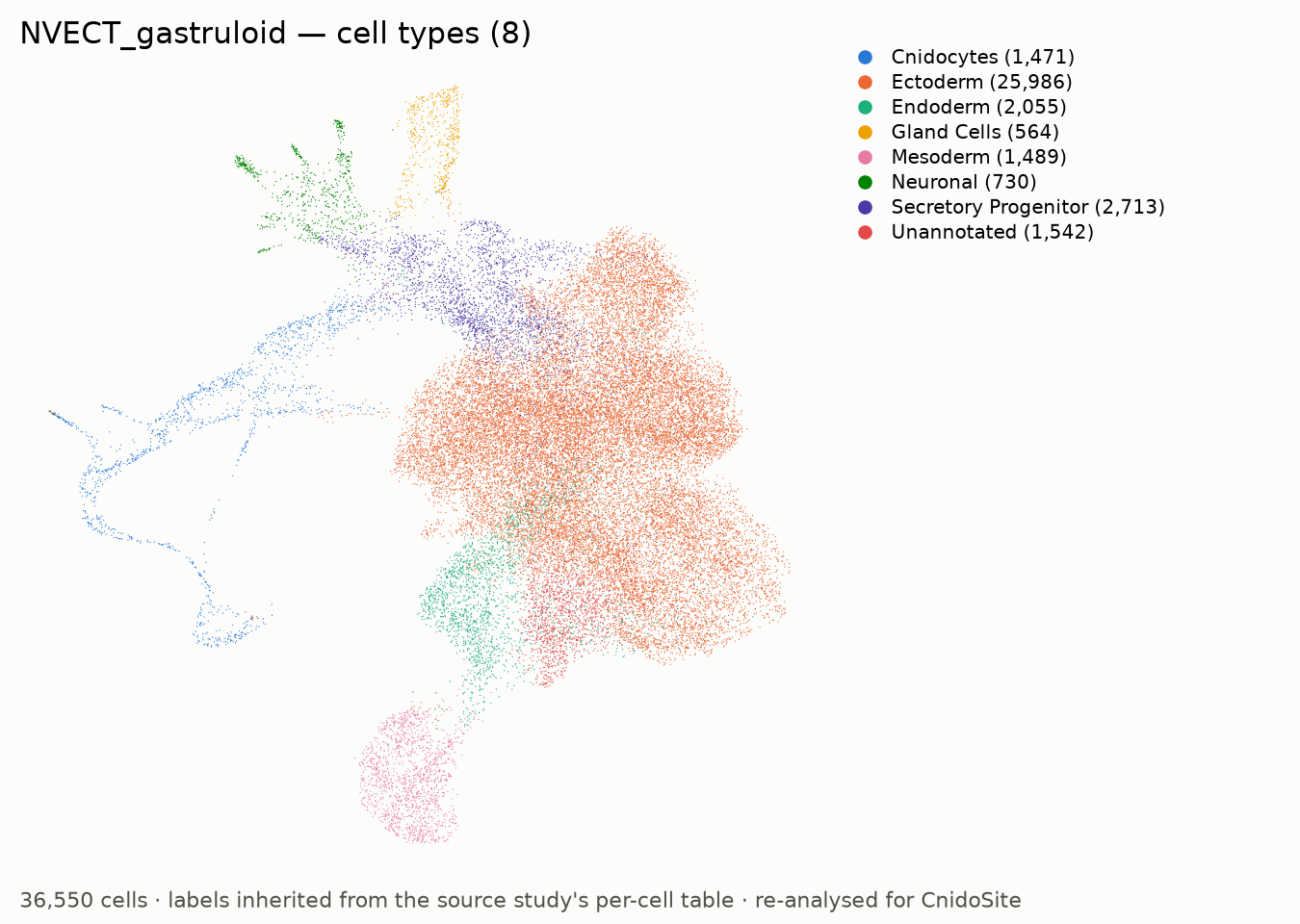UMAP of the re-analysed NVECT_gastruloid, coloured by annotated cell type, with a legend naming each type
