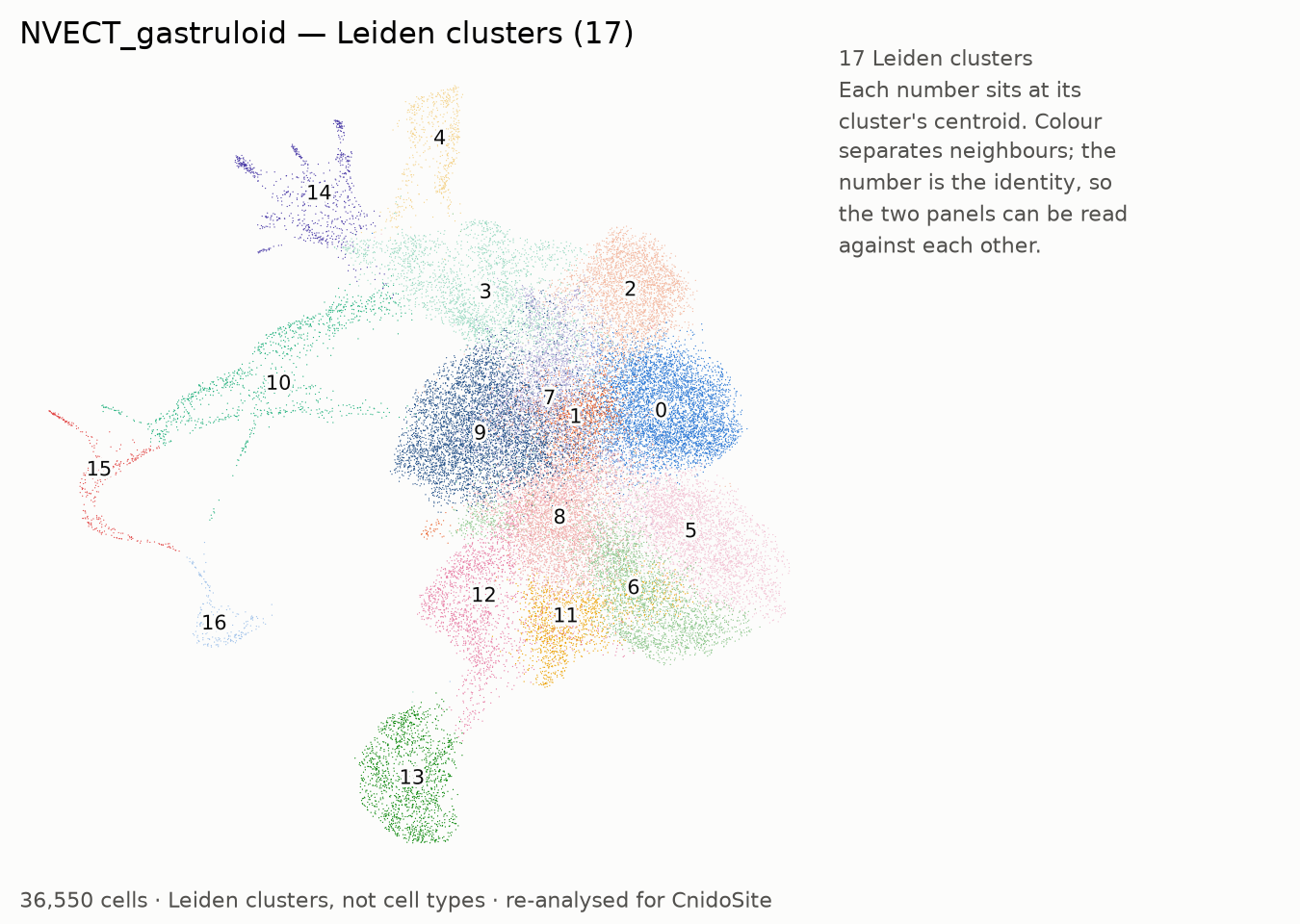 UMAP of the re-analysed NVECT_gastruloid, coloured by Leiden cluster, each labelled with its number