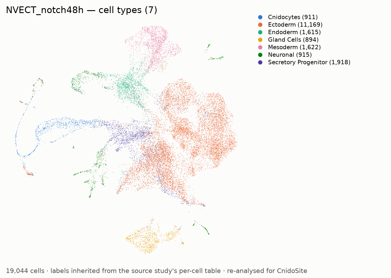 UMAP of the re-analysed NVECT_notch48h, coloured by annotated cell type, with a legend naming each type